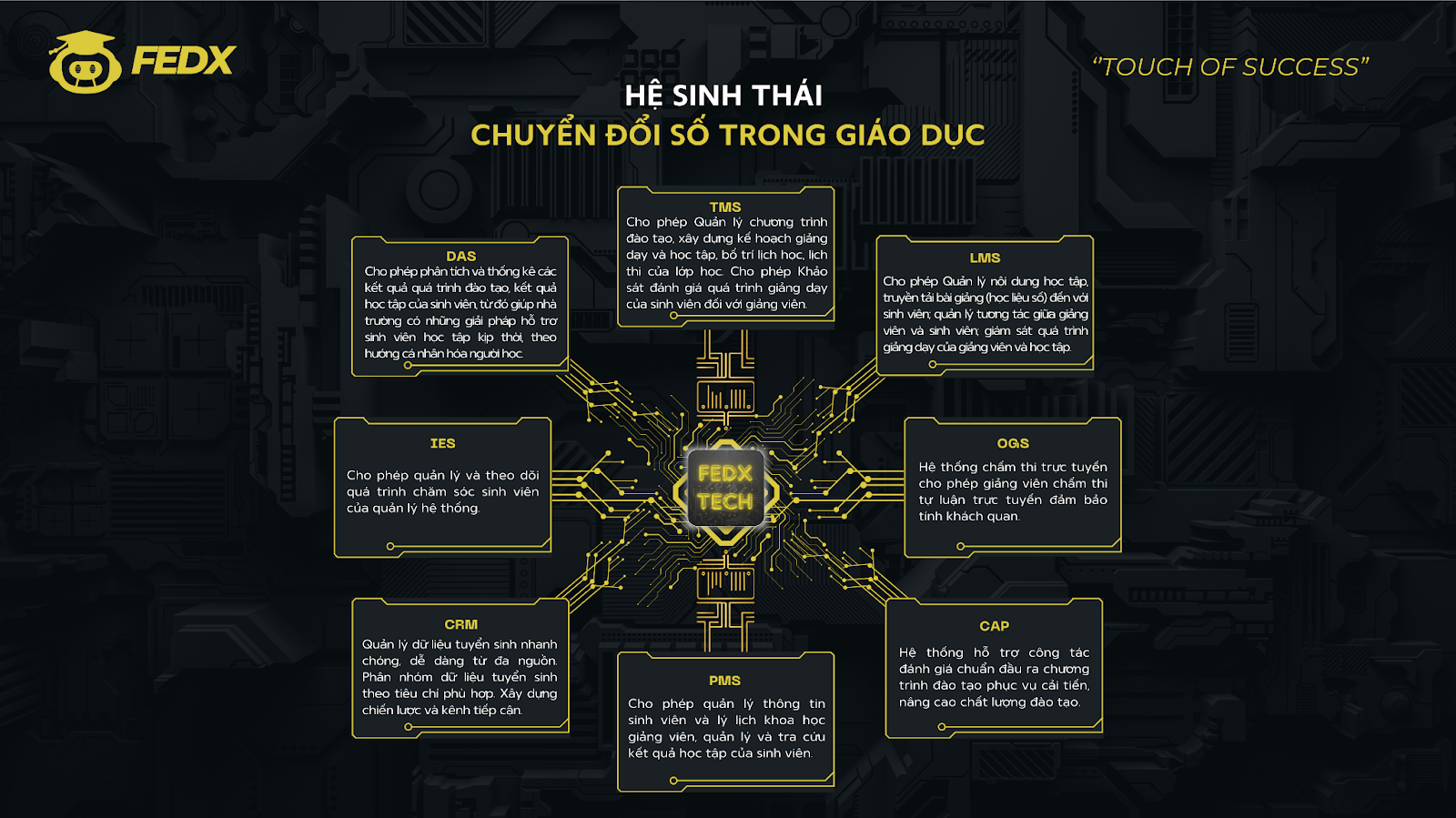 Hệ sinh thái chuyển đổi số trong giáo dục công ty FEDX