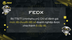 6 Mức Độ Chuyển Đổi Số Doanh Nghiệp | Giải Pháp Toàn Diện từ FEDX